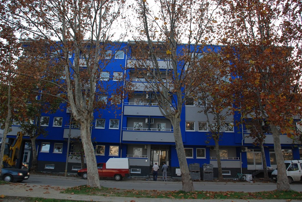 DSC_0245.JPG